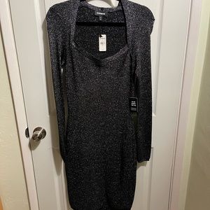 Express Bodycon Long Sleeve Dress